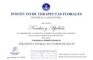Diploma ITF